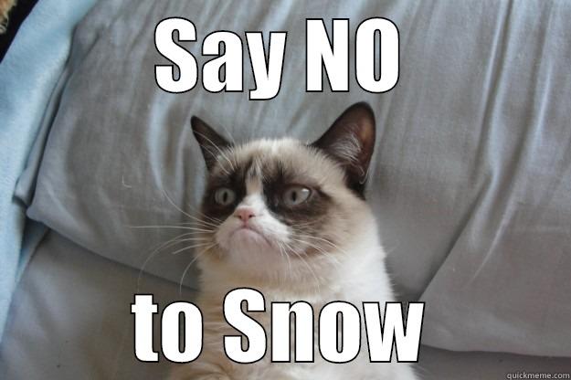 No Snow - SAY NO TO SNOW Grumpy Cat