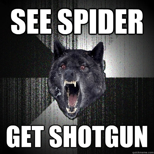 see spider get shotgun  Insanity Wolf