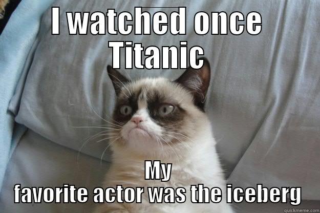 I WATCHED ONCE TITANIC MY FAVORITE ACTOR WAS THE ICEBERG Grumpy Cat