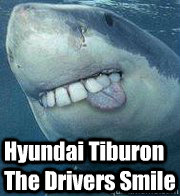 Hyundai Tiburon The Drivers Smile  Derp Shark
