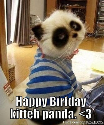  HAPPY BIRFDAY KITTEH PANDA. <3 Misc