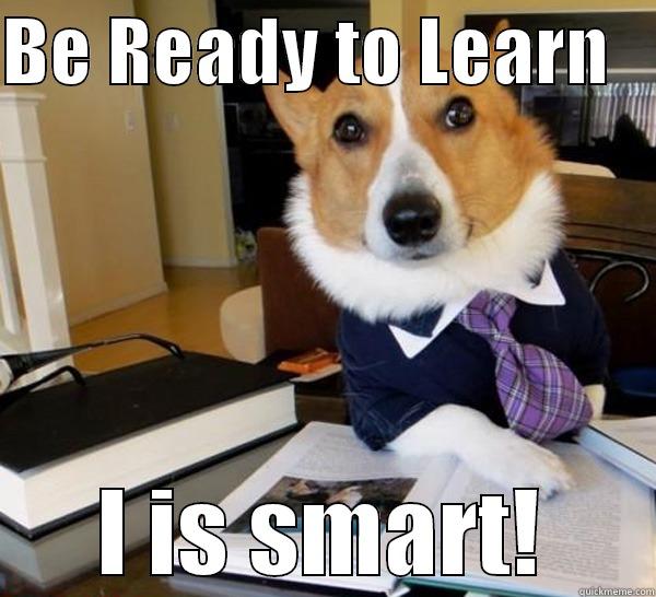 BE READY TO LEARN    I IS SMART! Lawyer Dog