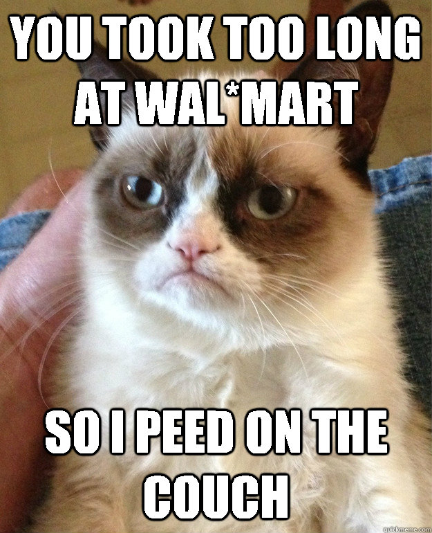 You took too long at Wal*Mart So I peed on the couch  Grumpy Cat