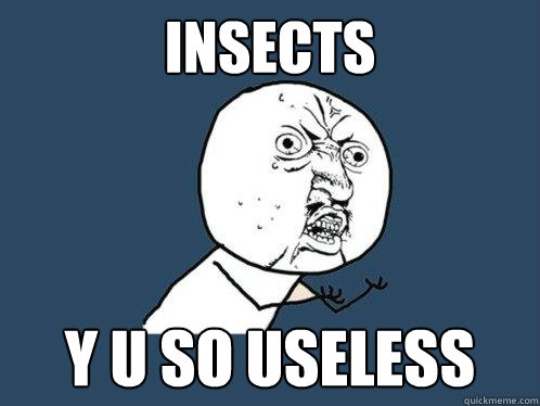 INSECTS Y U SO USELESS  Y U No