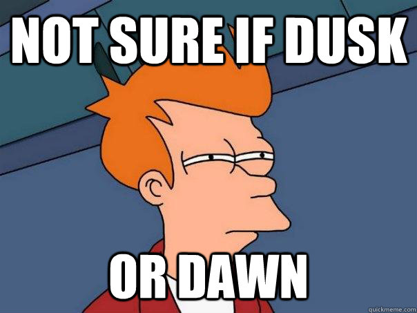 Not sure if dusk or dawn  Futurama Fry