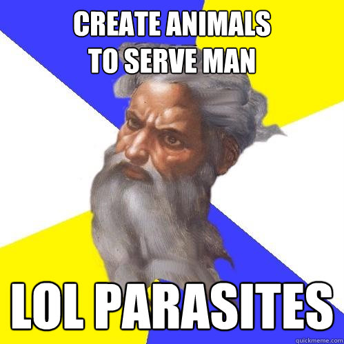 create animals
to serve man LOL parasites  Advice God