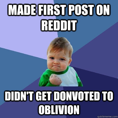 Made First post on reddit didn't get donvoted to oblivion  Success Kid