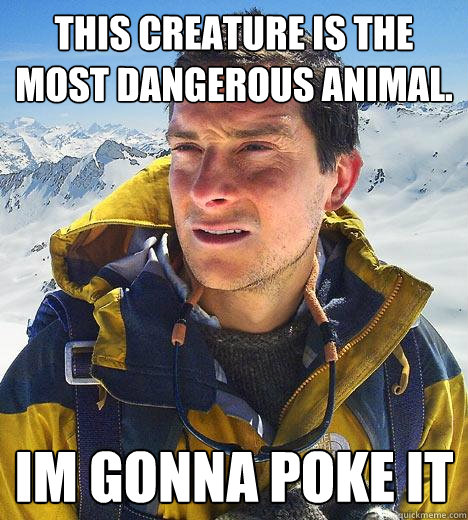 This creature is the most dangerous animal. Im gonna poke it
 - This creature is the most dangerous animal. Im gonna poke it
  Bear Grylls