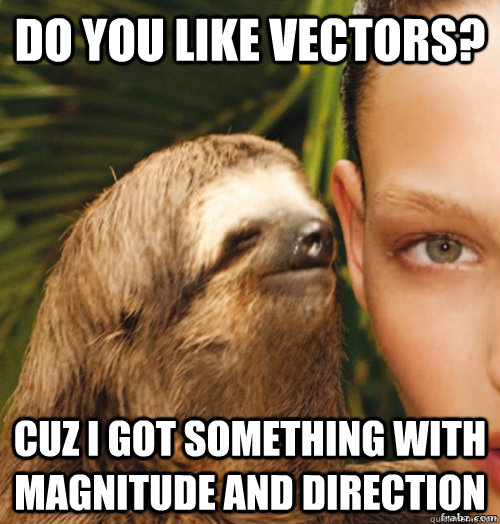 Do you like vectors? Cuz I got something with magnitude and direction  rape sloth