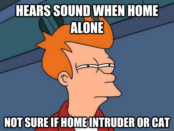 Hears Sound when home alone Not sure if home intruder or cat  Futurama Fry