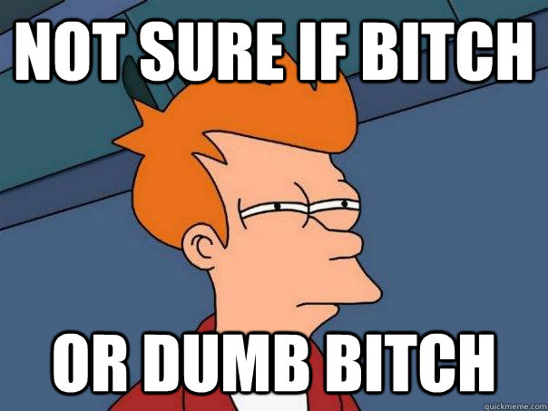 Not sure if bitch Or Dumb bitch - Not sure if bitch Or Dumb bitch  Futurama Fry