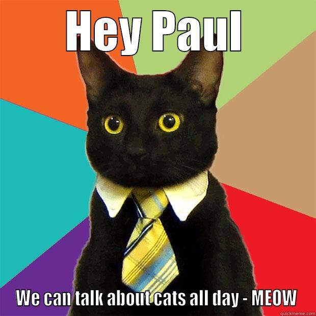 HEY PAUL WE CAN TALK ABOUT CATS ALL DAY - MEOW Business Cat