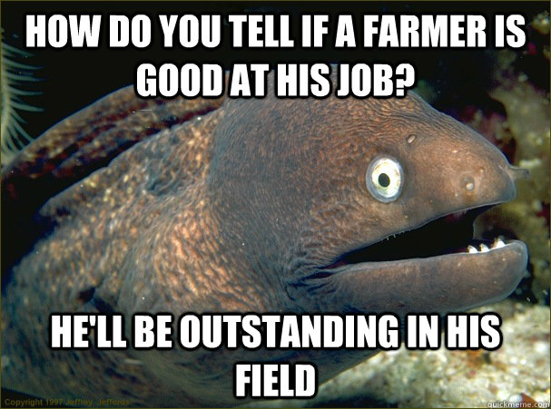 How do you tell if a farmer is good at his job? He'll be outstanding in his field  Bad Joke Eel