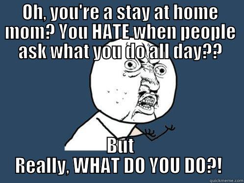 OH, YOU'RE A STAY AT HOME MOM? YOU HATE WHEN PEOPLE ASK WHAT YOU DO ALL DAY?? BUT REALLY, WHAT DO YOU DO?!  Y U No