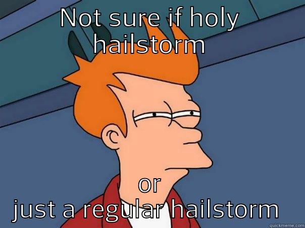 NOT SURE IF HOLY HAILSTORM OR JUST A REGULAR HAILSTORM  Futurama Fry