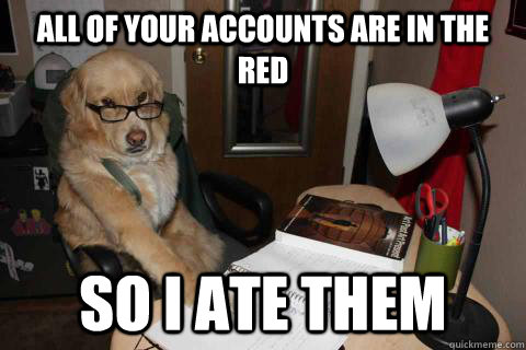 All of your accounts are in the red so I ate them  Financial Advice Dog