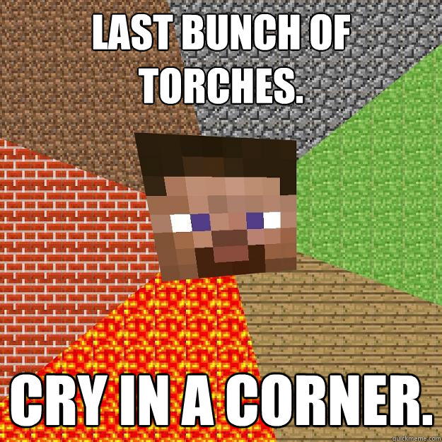 Last bunch of torches. Cry in a corner. - Last bunch of torches. Cry in a corner.  Minecraft