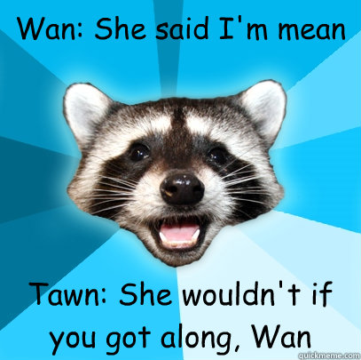 Wan: She said I'm mean Tawn: She wouldn't if you got along, Wan  Lame Pun Coon