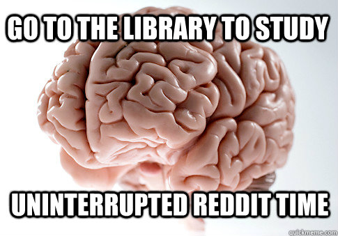 GO TO THE LIBRARY TO STUDY UNINTERRUPTED REDDIT TIME - GO TO THE LIBRARY TO STUDY UNINTERRUPTED REDDIT TIME  Scumbag Brain