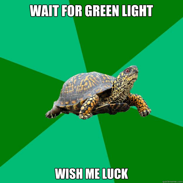 wait for green light  wish me luck  Torrenting Turtle