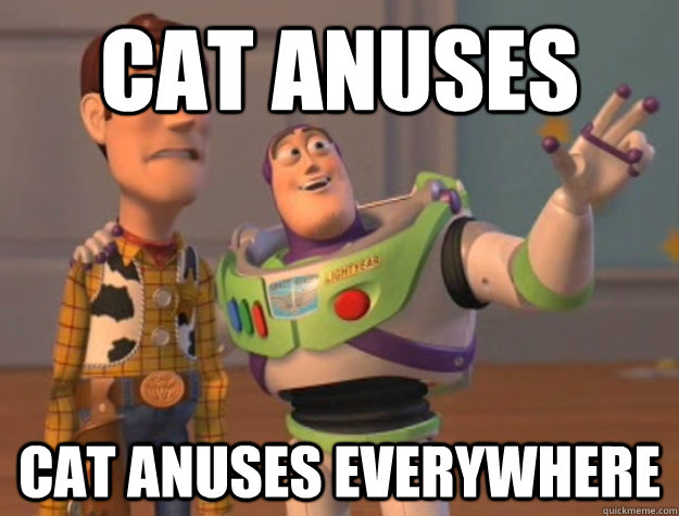 Cat anuses Cat anuses everywhere  Buzz Lightyear