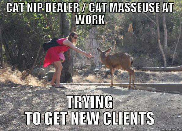 TRYING TO GET NEW CLIENTS - CAT NIP DEALER / CAT MASSEUSE AT WORK TRYING TO GET NEW CLIENTS Misc