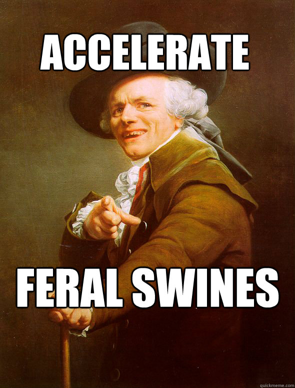 ACCELERATE FERAL SWINES - ACCELERATE FERAL SWINES  Joseph Ducreux