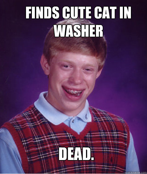 Finds cute cat in washer  Dead.  Bad Luck Brian