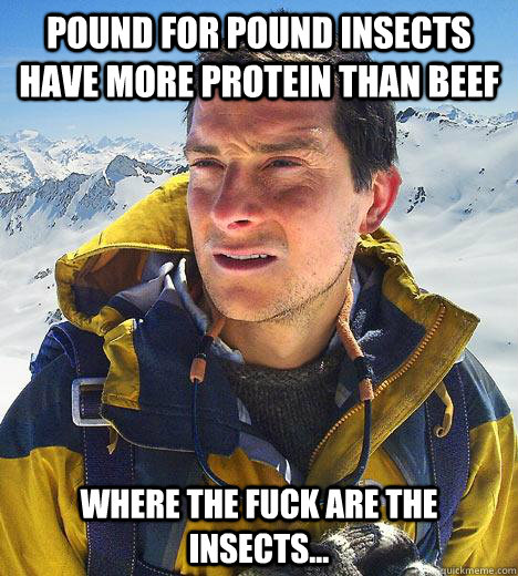 pound for pound insects have more protein than beef where the fuck are the insects...  Bear Grylls