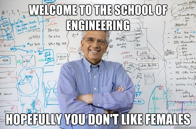 Welcome to the school of engineering hopefully you don't like females  Engineering Professor