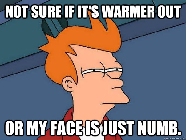 Not sure if it's warmer out Or my face is just numb.  Futurama Fry
