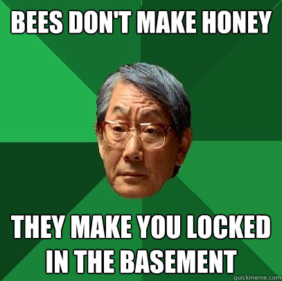 Bees Don't make honey they make you locked in the basement  - Bees Don't make honey they make you locked in the basement   High Expectations Asian Father