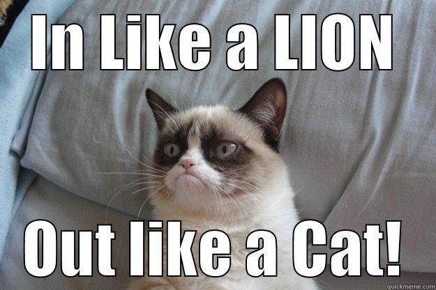 IN LIKE A LION OUT LIKE A CAT! Grumpy Cat