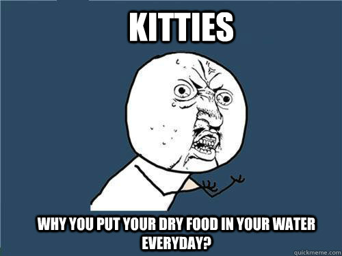 Kitties Why you put your dry food in your water EVERYDAY?  Why you no