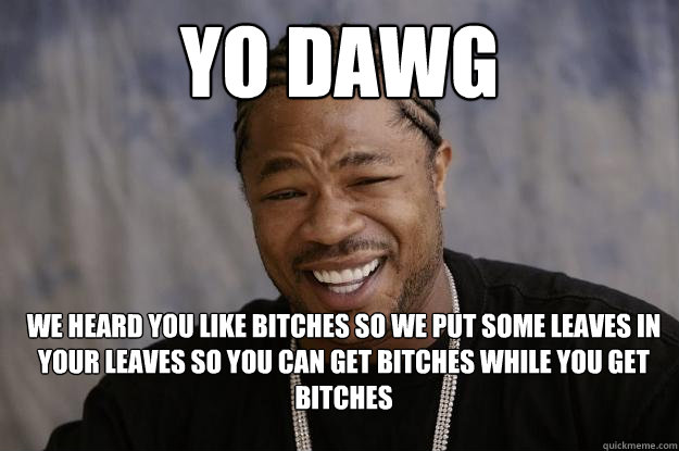 yo dawg WE HEARD YOU LIKE bitches SO WE Put some Leaves in your leaves SO YOU can get bitches while you get bitches - yo dawg WE HEARD YOU LIKE bitches SO WE Put some Leaves in your leaves SO YOU can get bitches while you get bitches  Xzibit meme 2