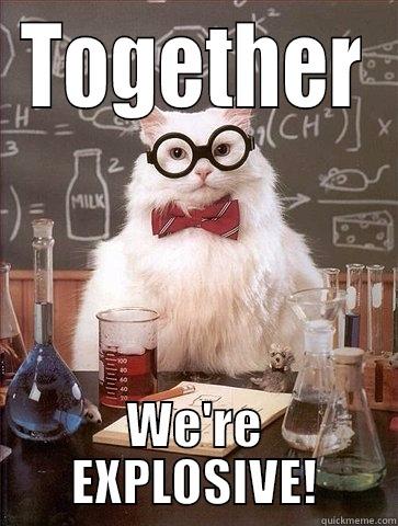 TOGETHER WE'RE EXPLOSIVE! Chemistry Cat