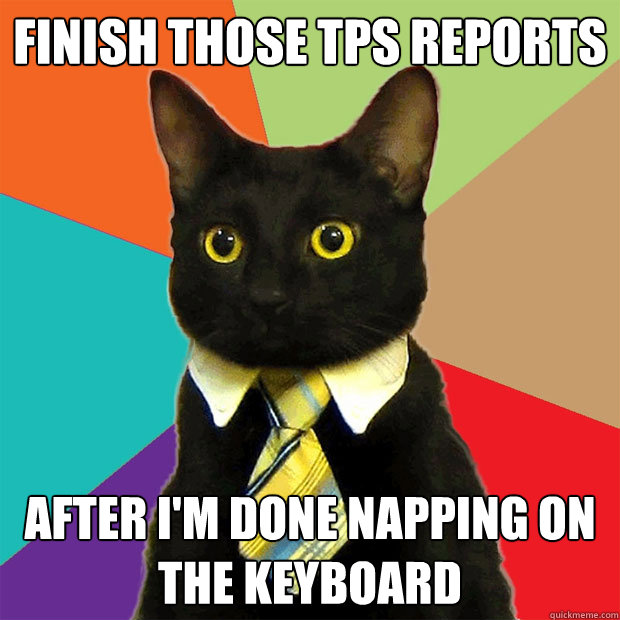 Finish those TPS reports after I'm done napping on the keyboard  Business Cat