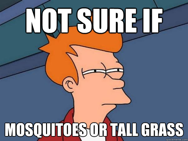 Not sure if mosquitoes or tall grass  Futurama Fry