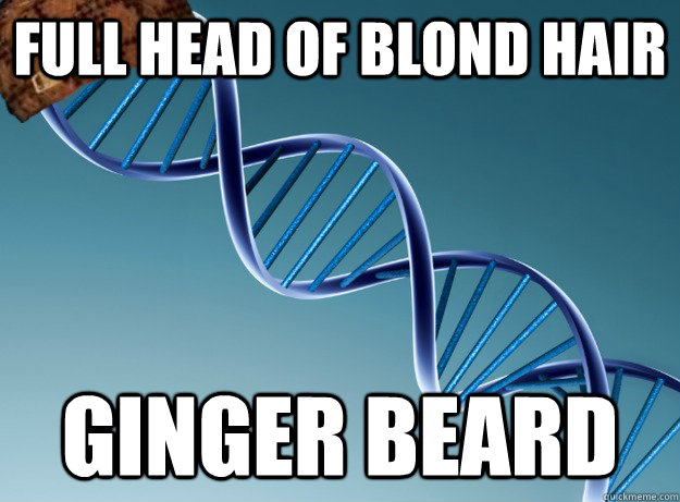 Full head of blond hair GINGER BEARD - Full head of blond hair GINGER BEARD  Scumbag Genetics