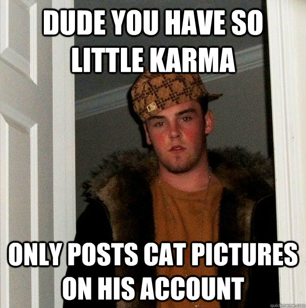 dude you have so little karma only posts cat pictures on his account  Scumbag Steve