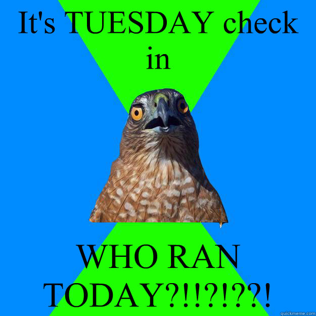 It's TUESDAY check in WHO RAN TODAY?!!?!??!  Hawkward