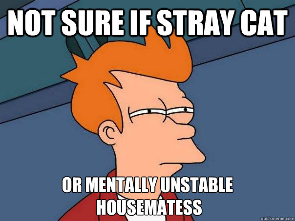 Not sure if stray cat Or mentally unstable
 housematess  Futurama Fry