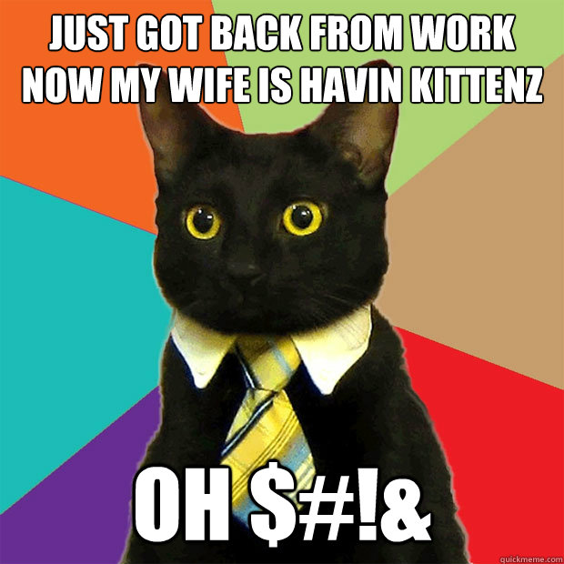 just got back from work now my wife is havin kittenz OH $#!&  Business Cat