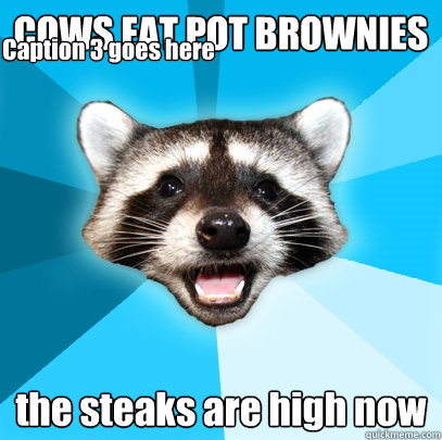 COWS EAT POT BROWNIES the steaks are high now Caption 3 goes here  Lame Pun Coon