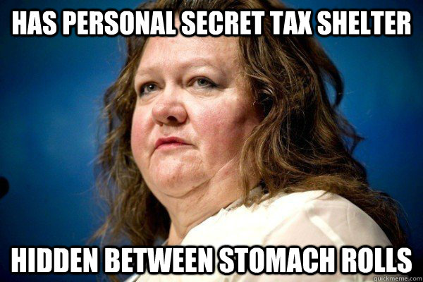 Has Personal Secret Tax Shelter Hidden Between Stomach ROlls  Spiteful Billionaire