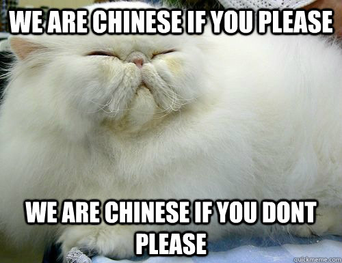 We are chinese if you please We are chinese if you dont please - We are chinese if you please We are chinese if you dont please  Misc