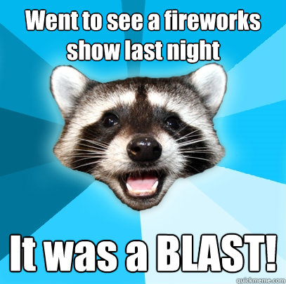 Went to see a fireworks show last night It was a BLAST! - Went to see a fireworks show last night It was a BLAST!  Lame Pun Coon