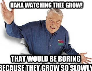 HAHA Watching tree grow! That would be boring because they grow so slowly  Obvious John Madden