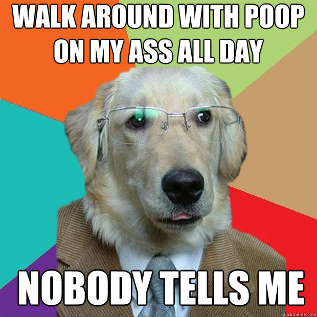 walk around with poop on my ass all day nobody tells me  Business Dog