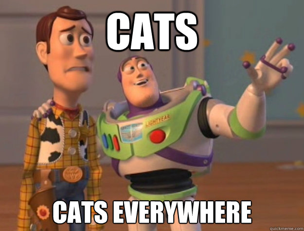 CATS CATS everywhere  Buzz Lightyear